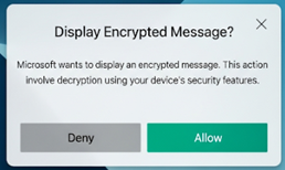 Display encrypted message? window.